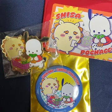 치이카와 산리오 콜라보 시사