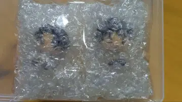 진격의 거인 제일복권 I상 쵸코놋코 시크릿 리바이 엘렌