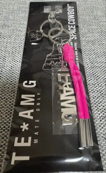 이와타 타카노리 SPACE COWBOY TEAM G 백참