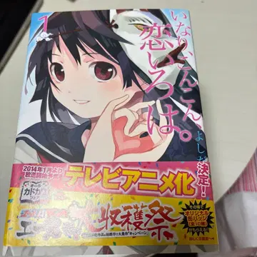 이나노 군 사랑해 전 10권 세트