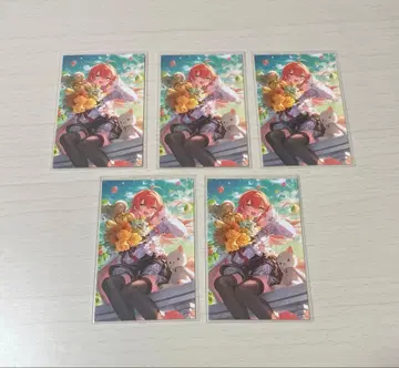 니지산지 노스탤지어 컬렉션 카드 시시도 아카리