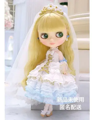 브라이스  Blythe 미사용 새상품