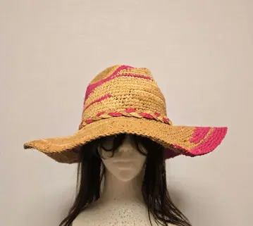 베이지와 빨간색 밀짚모자