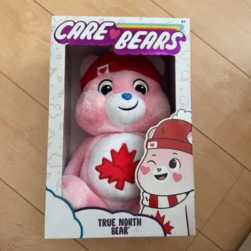 CARE BEARS TRUE NORTH BEAR 봉제 인형