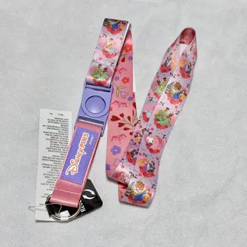 디즈니 월드 플로리다 스트랩