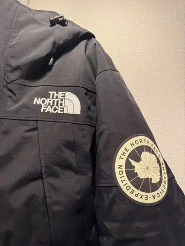 THE NORTH FACE 다운 자켓