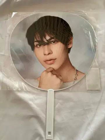 라울 점보 부채 RAYS