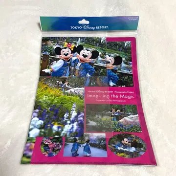 이매지닝 더 매직 판타지 스프링스 클리어 홀더 엽서