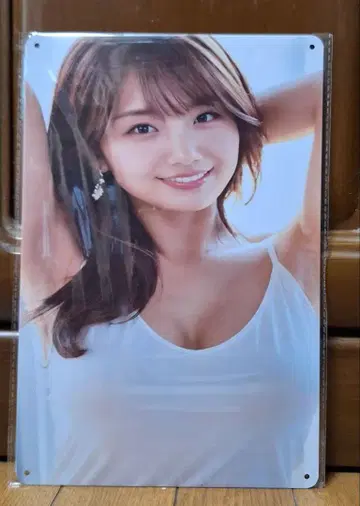 [ 미개봉 ] 이노우에 세이카 주석 간판 약 20 x 30cm