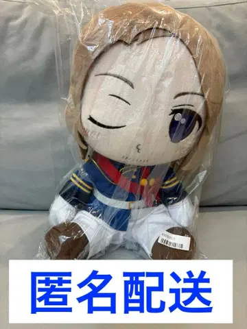 헤타리아 월드 스타즈 BIG 봉제 인형 프랑스 윙크