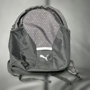 Puma 블랙 럭색/백팩