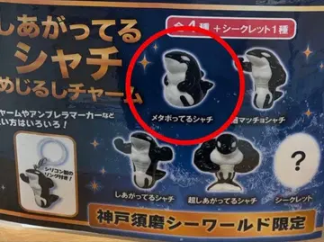 고베 스마 시월드 완성된 범고래 메지루시 액세서리 메타볼릭 범고래