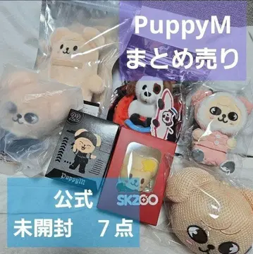 straykids 승민 굿즈 묶음 판매 Seungmin