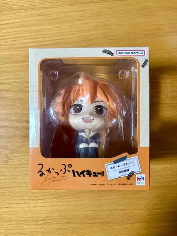 하이큐!! 히나타 쇼요 룩업