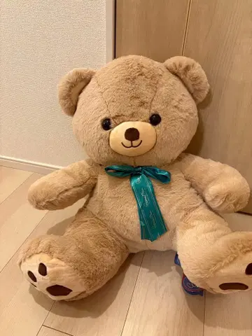 Eternal Bean 빅 베이지 곰 봉제 인형