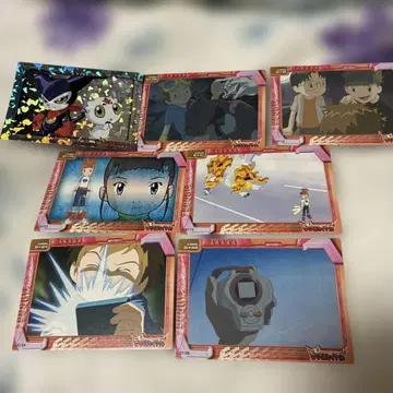 디지몬 테이머즈 카드 8장