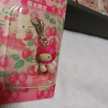지역 한정 키티 도치기 한정 딸기