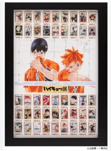 하이큐 코믹스 전권 핀즈 컬렉션 하이큐전