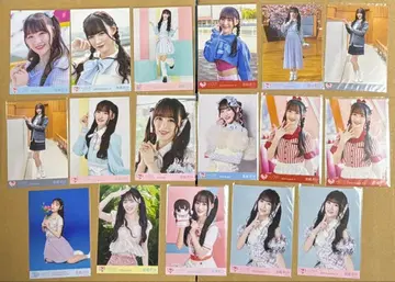 = LOVE 이코라브 오토시마 리사 브로마이드 16장 세트