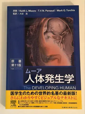 무어 인체 발생학