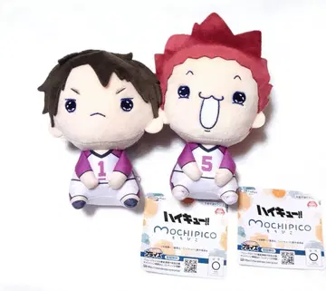 하이큐 우시지마 와카토시 텐도 사토리 세트 묶음 판매