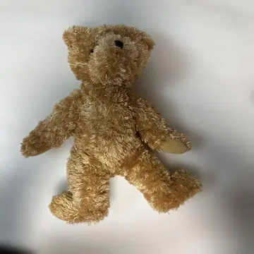 렉서스 베어 베이지