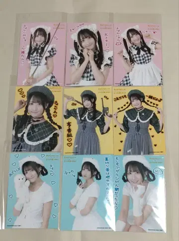 모리야 쿄카 쿄운쿠지 보루냥 브로마이드 9장 세트