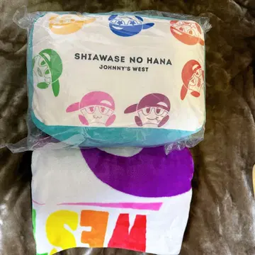 WEST. WESTV! 따뜻한 녀석 담요 쿠션 행복의 꽃