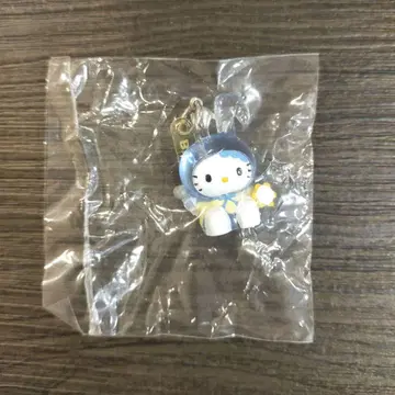 레어 빅 에코 BIGECHO 키티 키링