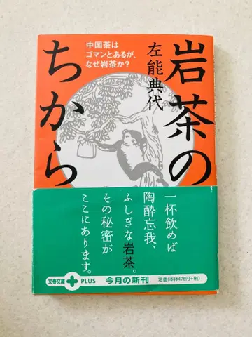 암차의 힘 중국차는 많고 많지만, 왜 암차인가?