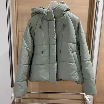 다운 피스타치오