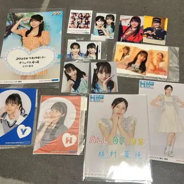 낱개 판매 검토 로지 크로니클 브로마이드 세트