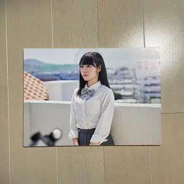 니지노조이 오오니시 아오이 타워 레코드 전시 패널 첫사랑 신데렐라