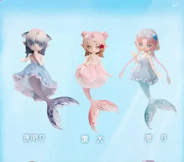 앙티유 ANTU 조개의 비밀스러운 말 해파리 희미한 빛 새벽