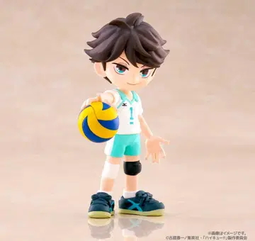 하이큐 팔버스 vol.2 오이카와 토오루 palverse