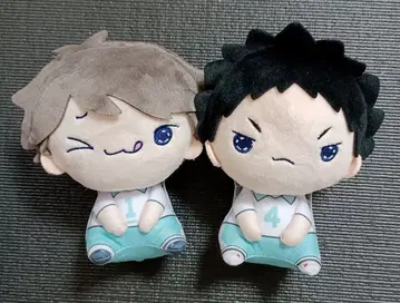 하이큐 오이카와 토오루 이와이즈미 하지메 모찌피코