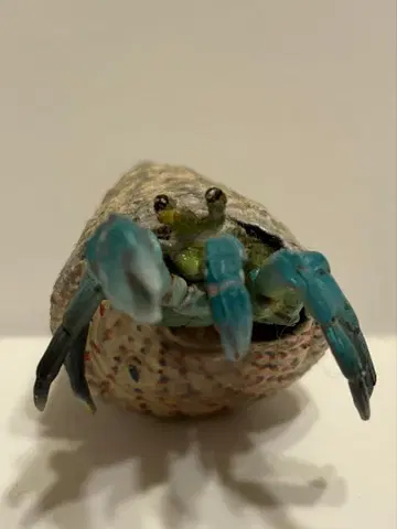 원색 갑각류 새우 게 도감 집게 2005년