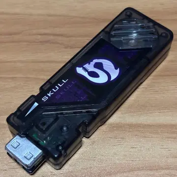 DX 스컬 메모리 가이아 메모리