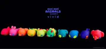 모니마루즈 비비드 컬러 벌