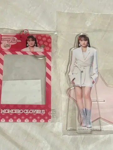 스위츠 파라다이스 모모클로 Cafe 모모타 카나코