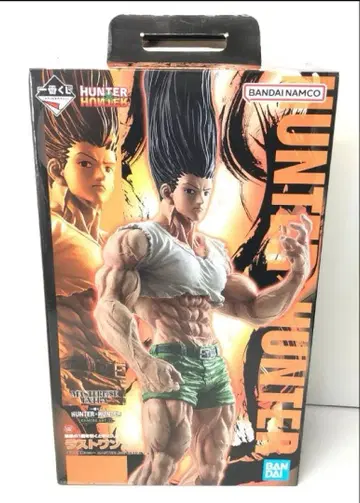 HUNTER x HUNTER 제일복권 라스트 원 곤 성장ver. 피규어