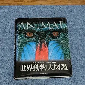 세계 동물 대도감 ANIMAL