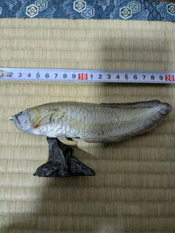 아로와나 피규어