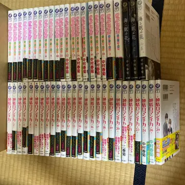 세계제일의 첫사랑 순정 로맨티카 나카무라 슌기쿠 49권