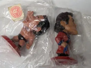 프로 격투 히어로즈 안토니오 이노키 2개