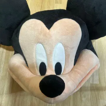 디즈니 미키 팬캡