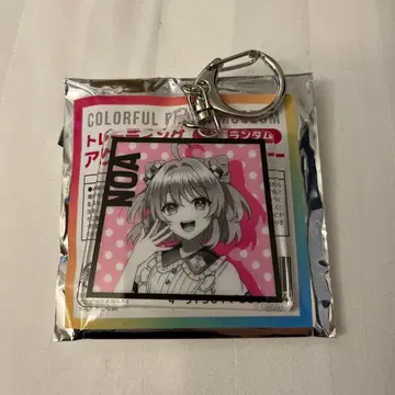 컬러풀 피치 노아