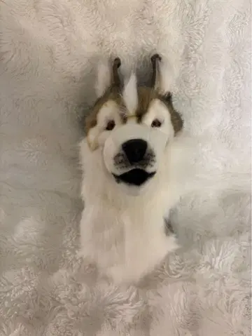 한사 드라이버용 골프헤드커버 애니멀 (허스키)