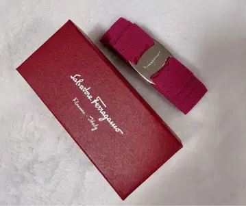 Salvatore Ferragamo 핑크 머리핀