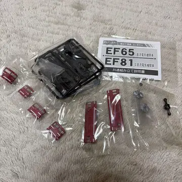 EF81 갱신색 1량 B 트레인 쇼티